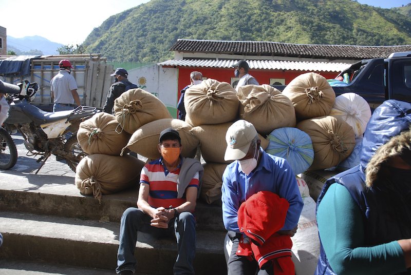 Koffieproducenten bij zakken ingezamelde koffie in Ecuador.